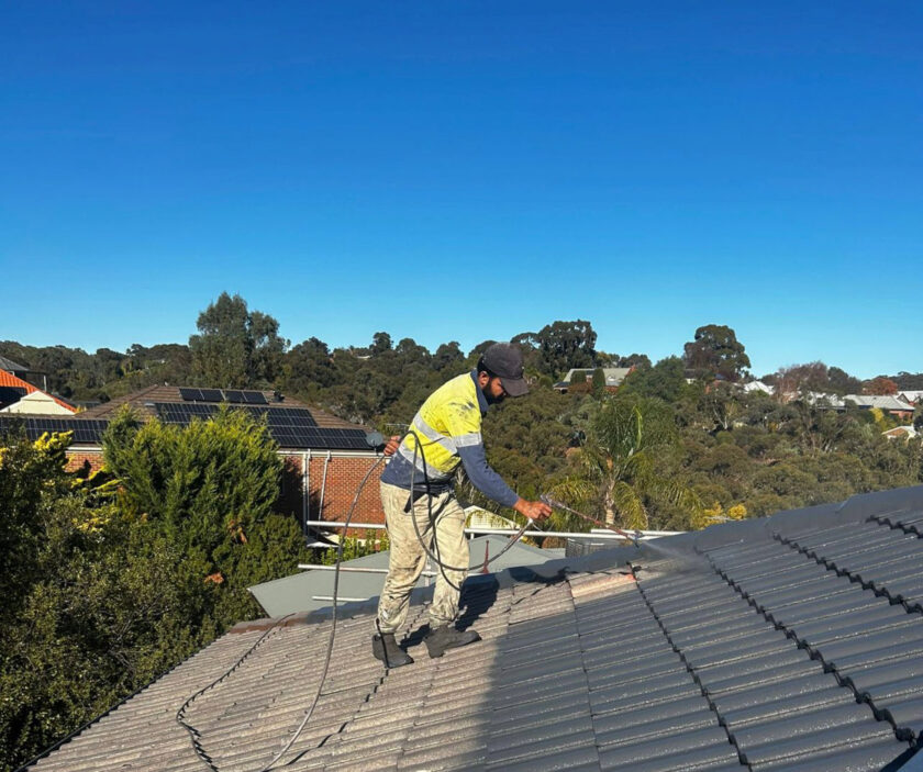 Roof Painting
