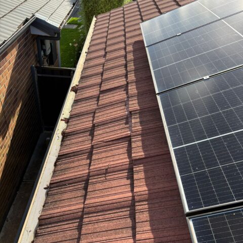 professional roof restoration