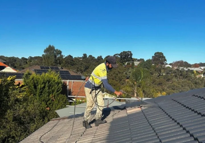 Why Roof Painting Is More Than a Cosmetic Fix in Adelaide