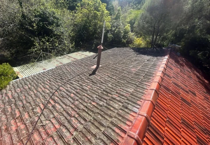 What a Small Roof Leak Can Turn Into (And How Fast It Happens)